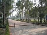 הכניסה ל- Samadhi Areas  שזה גן זכרון גדול למספר מנהיגים הודיים