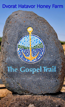 Dvorat Hatavor along the Gospel Trail