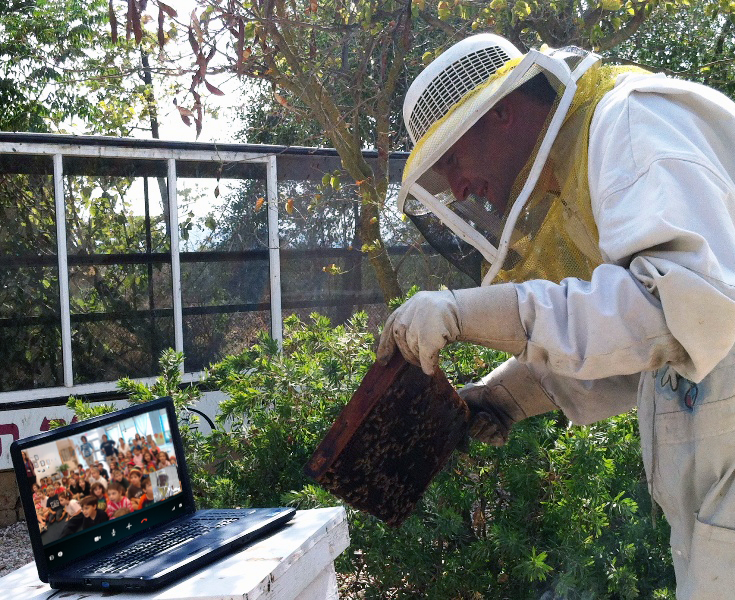 Skype virtual fieldtrip with a beekeeper