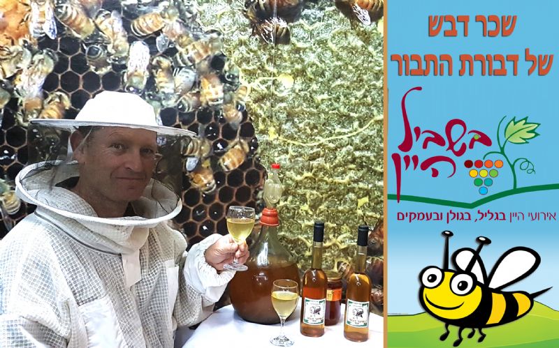 פסטיבל בשביל היין