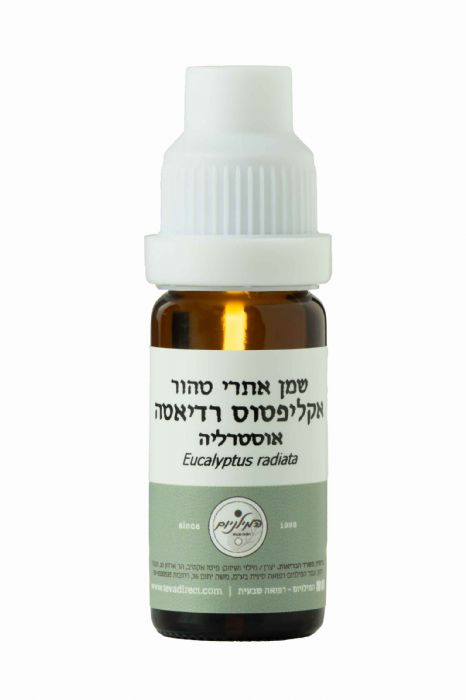 שמן אקליפטוס רדיאטה 100 מל'