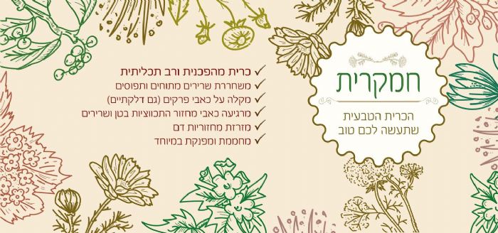 חמקרית מלב אל לב