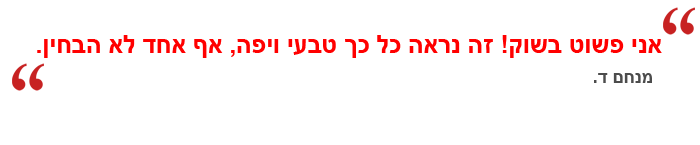ציטוט מנחם ד