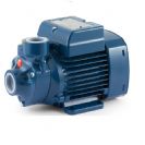 משאבה חיצונית 4800 ליטר/שעה PKm-100