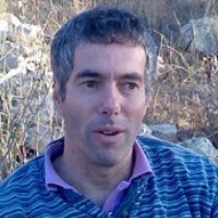רון אנגלנדר