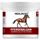 ג'ל עיסוי מחמם 250 מ"ל של Healmusz Pferdebalsam
