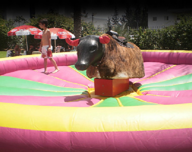 סימולטור שור זועם