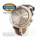 שעון יד FOSSIL AM4304