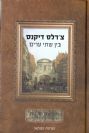 בין שתי ערים מהדורה חגיגית 200 שנה להולדת דיקנס / צ'ארלס דיקנס