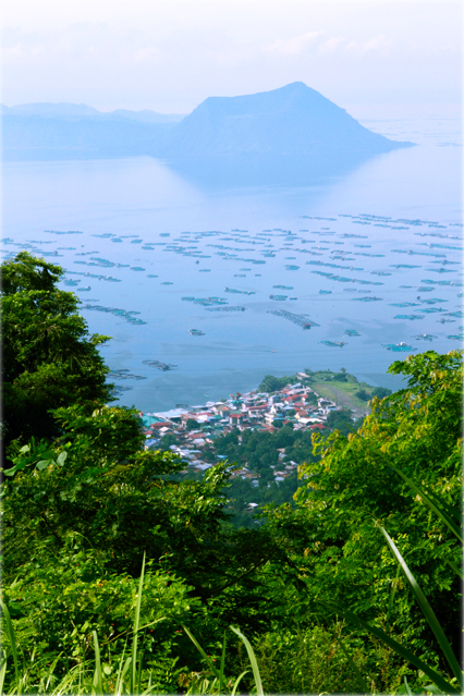 TAAL VOLCANO VIEW