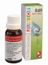 R49 BASIC טיפות הומיאופתיות (22 מ"ל) - ד"ר רקווג Dr. Reckeweg