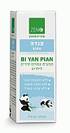 פנדה BI YAN PIAN בי יאן פיאן - ברא