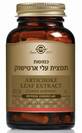 תמצית עלי ארטישוק (60 כמוסות) Artichoke Leaf Extract - סולגאר - חסר במלאי