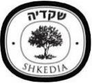 צימוק חום בקופסא (330 גרם) - שקדיה