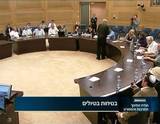 מליאת הוועדה