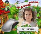 פד לעכבר