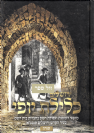 ירושלים כלילת יופי - מושגי רוממות ועבודת השם בעיר הקודש