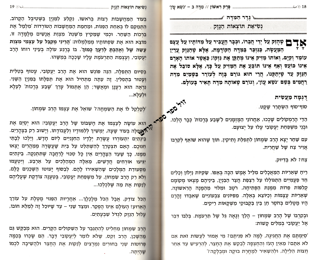 תומר דבורה סימנים