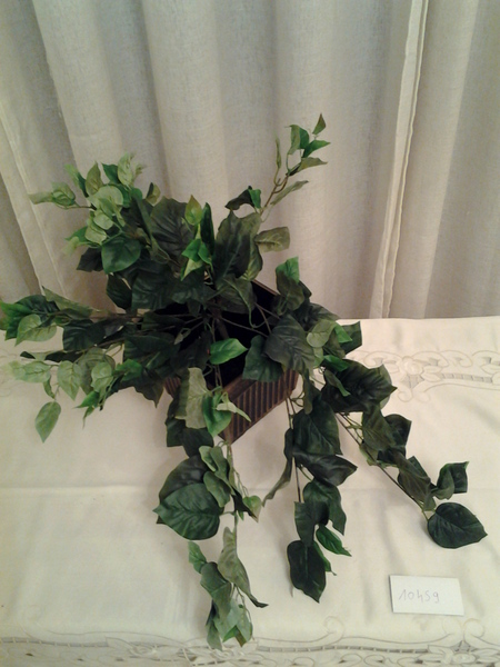 10459/1-נשפך פוטוס