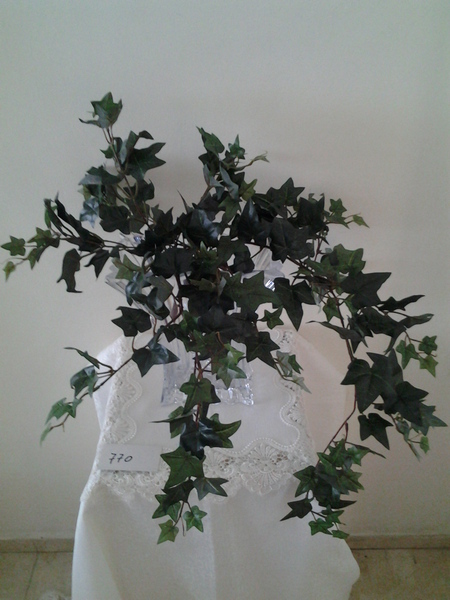 770-נשפך קיסוס ירוק