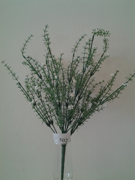 502-שיח גיפסנית לבן