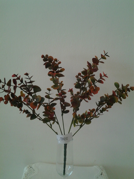 512-שיח אקליפטוס חום