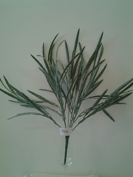 524-שיח דרצנה אפרפר