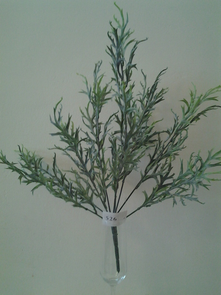 526-שיח אפרפר