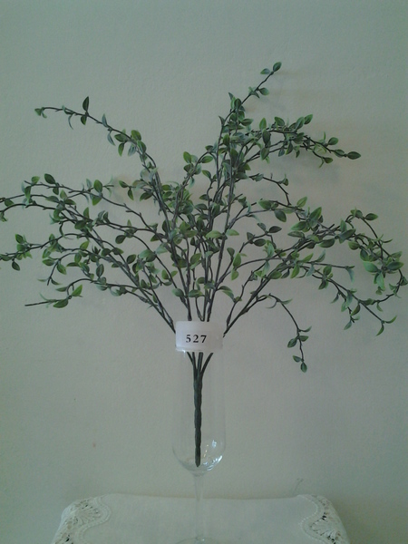 527-הדס אפרפר