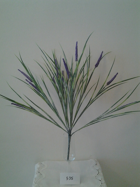 535-שיח יערונית סגול