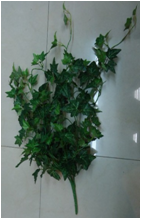 10226-נישפך קיסוס עלים קטנים