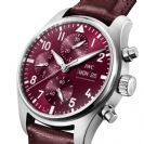 IWC Pilot's Watch Chronograph 41 Edition Chinese New Year