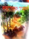 המגיד ממזריטש