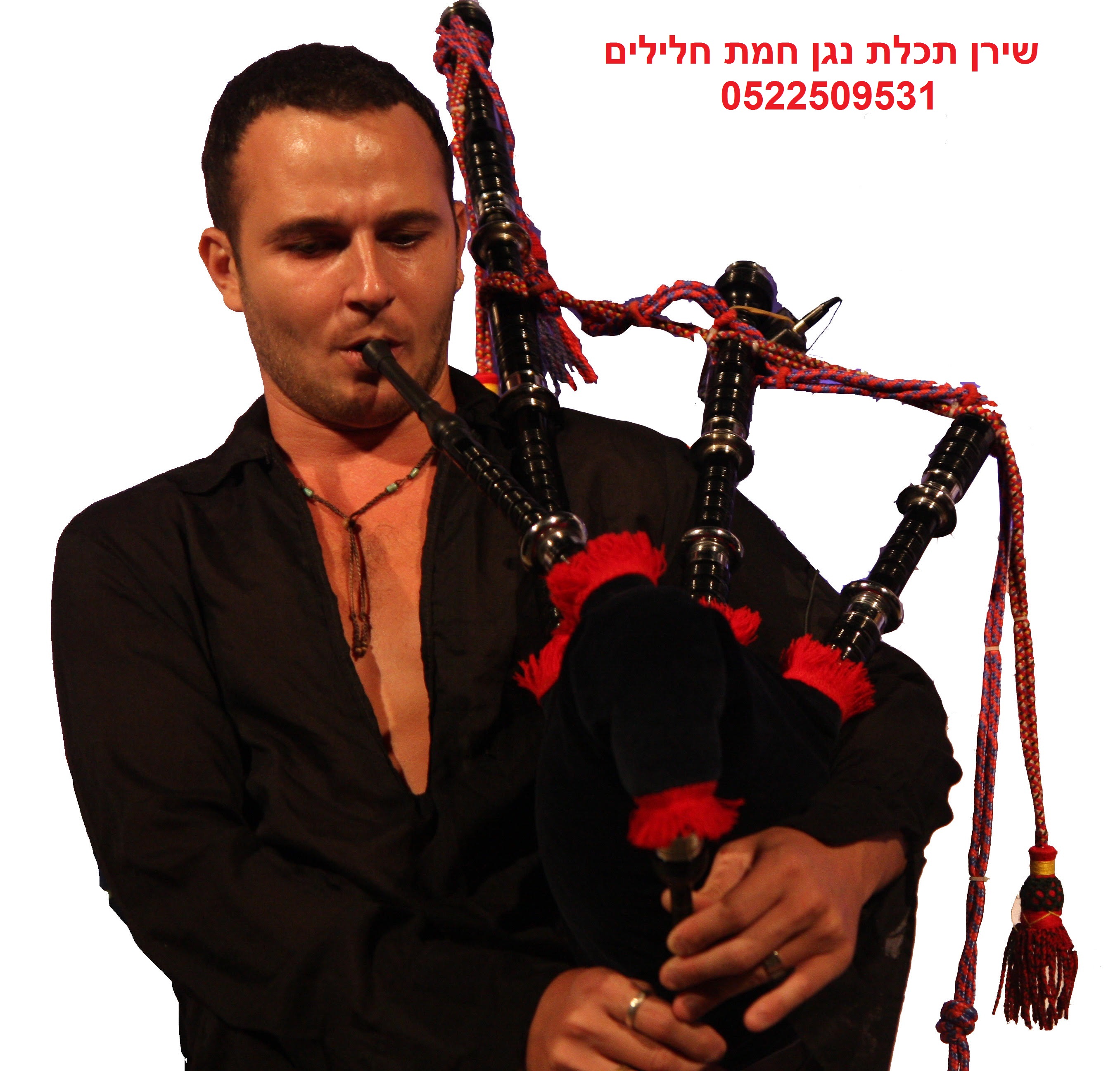 נגן חמת חלילים