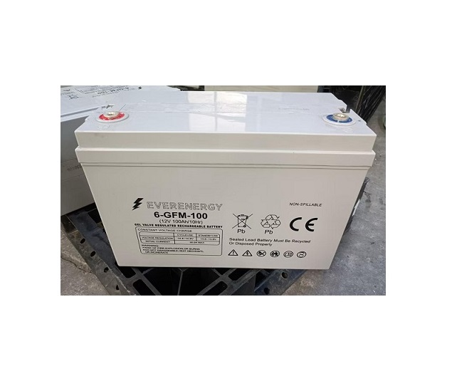 מצבר ג'ל פריקה עמוקה 12V-100Ah תוצרת EVERENERGY
