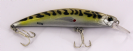 SIEM J110-MACKEREL