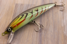 SIEM T -SARDINE