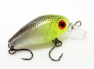 B-BONITO GREEN