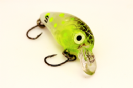B-BONITO GREEN
