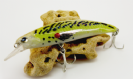 J110-1-MACKEREL