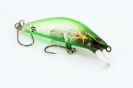 C-GREEN SPIDER