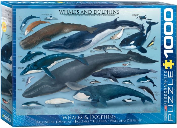 פאזל 1000 חלקים - לוויתנים ודולפינים