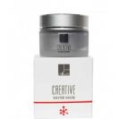 קריאטיב מסכת כסף - Silver Mask