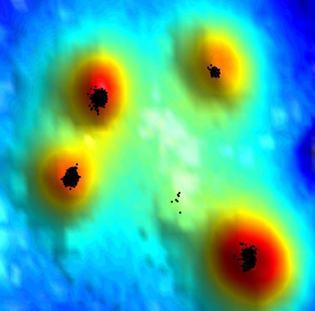 מפה טופגרפית של מקטע על פני השטח של תא T. האזורים האדומים הם האצבעות הגמישות המתוארות במאמר (ככל שהצבע חם יותר, כך האזור המסומן גבוה יותר). קולטני CCR7 (בשחור) ממוקמים בנקודות הגבוהות ביותר על פני האצבעות. באדיבות  מכון ויצמן למדע