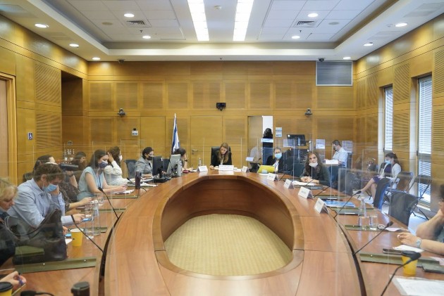 צילום מתוך דיון הוועדה לזכויות הילד. צילום דני שם טוב דוברות הכנסת