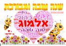 לוח שנה A4 דגם 24