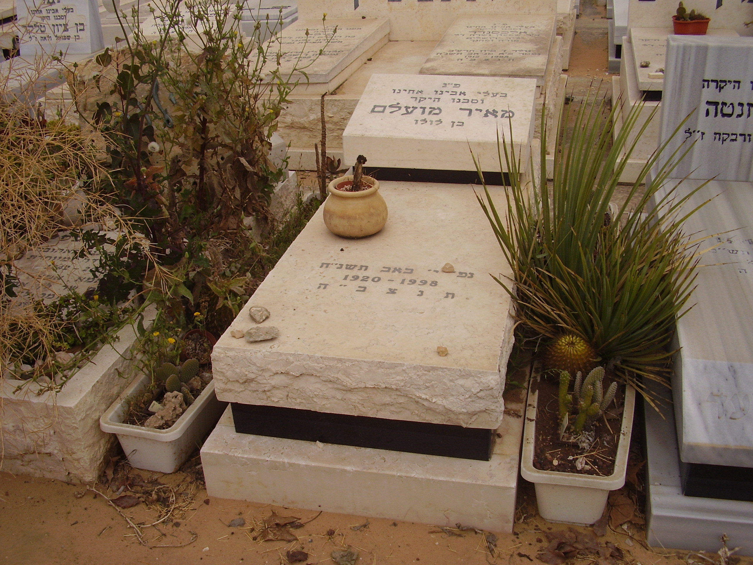 מצבות יחיד | מצבות יחיד במחיר נוח באזור
