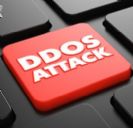 4 מ-10 עסקים לא יודעים כיצד להתגונן ממתקפת DDoS