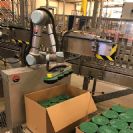 איך הגיעו למצב של אפס תאונות במפעל ייצור באמצעות רובוטים שיתופיים?