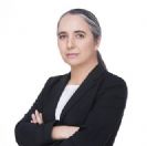 משפט תיקי האלפים
